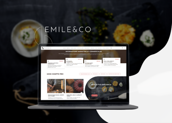 Emile&Co - client soconnector connecteur ERP prestashop