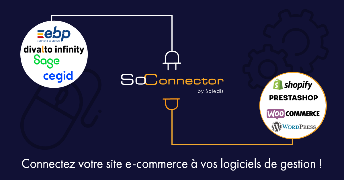 connecteur site internet ERP
